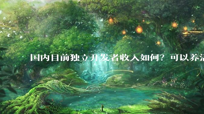 国内目前独立开发者收入如何？可以养活自己以及家人吗？