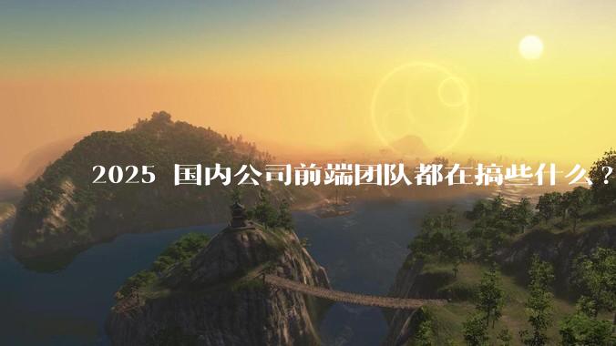 2025 国内公司前端团队都在搞些什么?