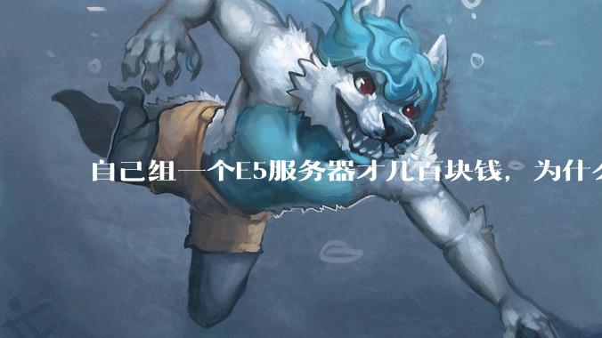 自己组一个E5服务器才几百块钱，为什么去阿里云租这么贵?