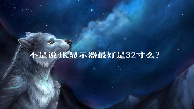 不是说4K显示器最好是32寸么？